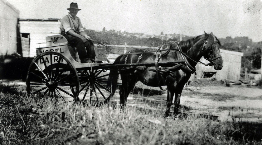 Ossie Smiths Model Dairy Blue Mountains Library c 1925 CC BY SA 2.0